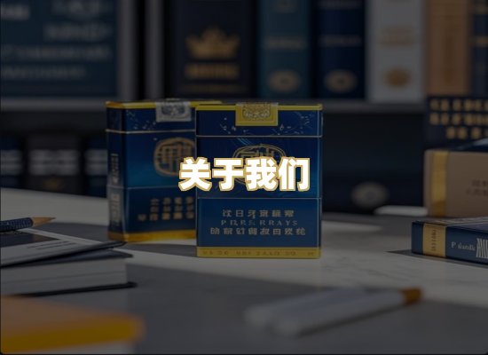关于我们